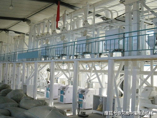 500噸面粉加工成套設(shè)備與機(jī)械加工技術(shù)解析